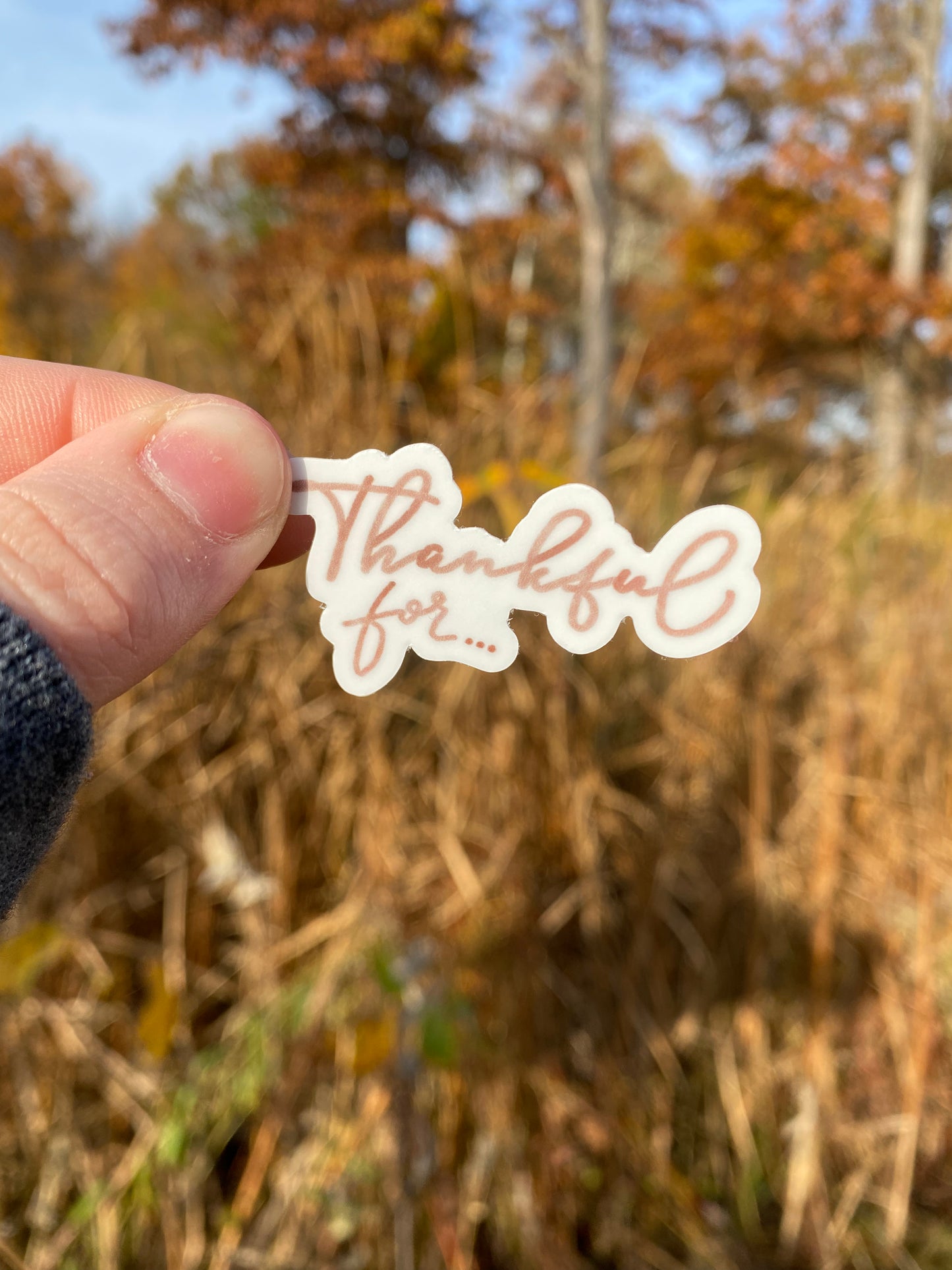 Thankful For Sticker